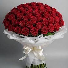 Букет 101 Красная роза Блэк Мэджик в Копанской