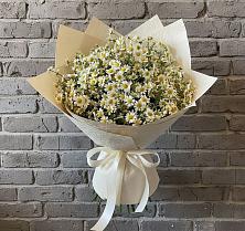 Букет цветов из:  Ромашки #REPLACE_PRED# Копанской