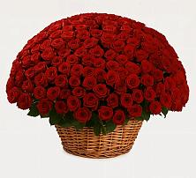 Премиум букет из: Розы в Копанской