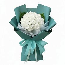 Букет цветов из:  Гортензия #REPLACE_PRED# Копанской